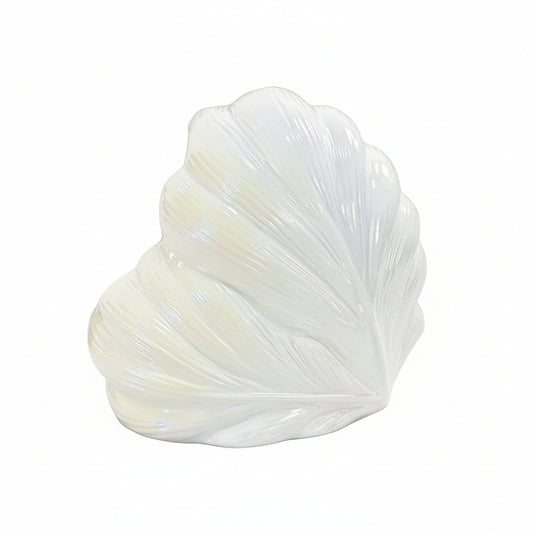 Cajas de Pañuelos de Cocina con Forma de Concha Marina