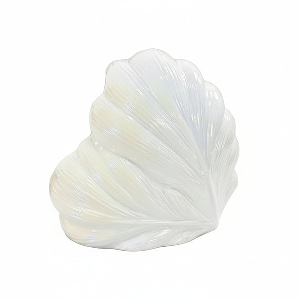 Cajas de Pañuelos de Cocina con Forma de Concha Marina