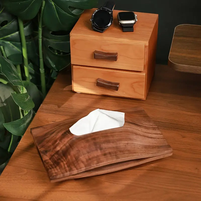 Dispensador de Pañuelos de Cocina